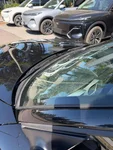 BMW Z4 Z4 M E86 Roadster 3.3 Manuale top condition (10/12)